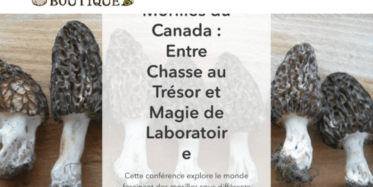 Experts de boutiques Shopify - La Fabrique Shopify Montréal mycoboutique.com fr srsltidafmbooqey3ekcljlhcpmz4hwo1e4y4vyde7rvzvzymut8kukm6vsue k